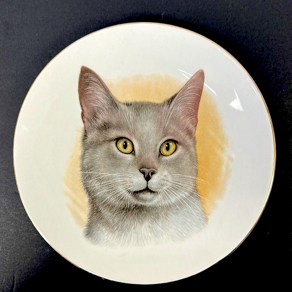 Vintage Ironstone decorative cat plate made in England
